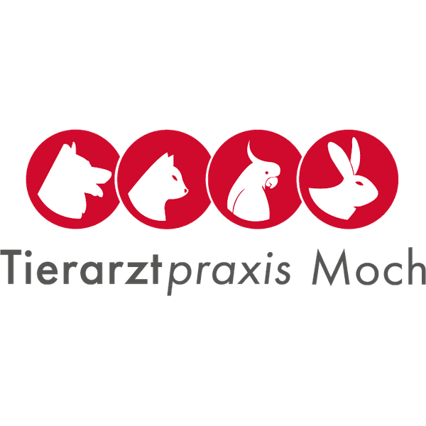 Tierarzt Plus Waghäusel GmbH Tierarztpraxis Moch
