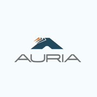 Auria Solutions Straubing GmbH & Co. KG