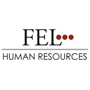 FEL GmbH