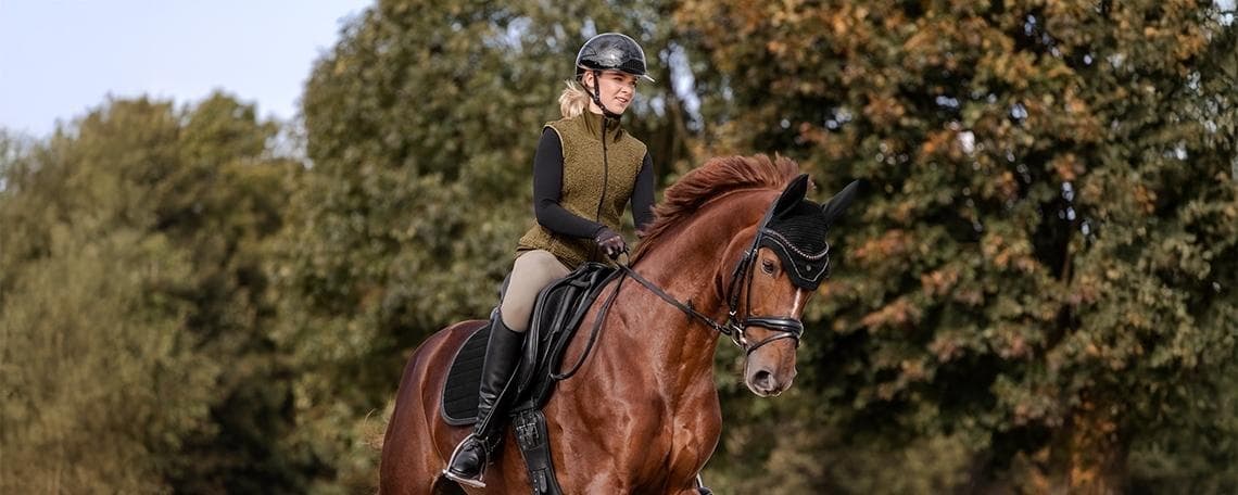 Verkaufsleiter (m/w/d) – Reitsportbranche (B2B, international) bei Waldhausen GmbH & Co. KG