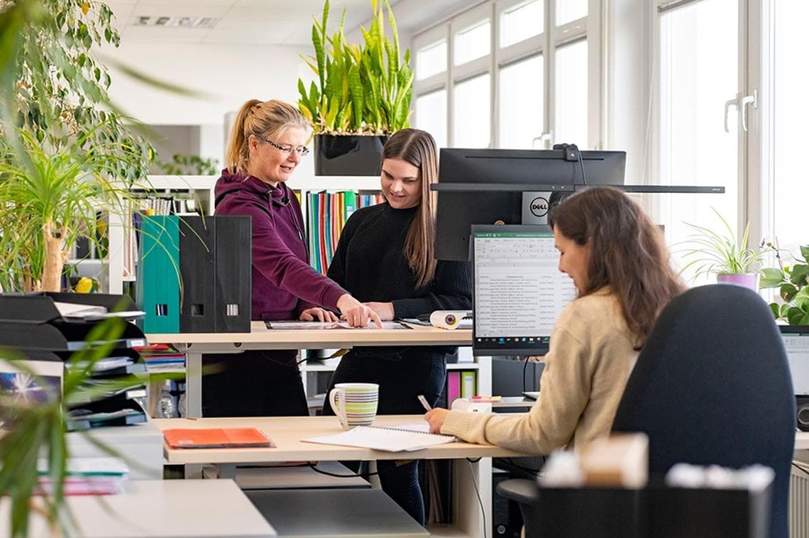Zollexperte/in (m/w/d) - Kaufmann/-frau für Groß- und Außenhandelsmanagement, Kaufmann/-frau für Spedition und Logistikdienstleistung, Zollfachkraft / Customs Specialist bei Hamelin GmbH