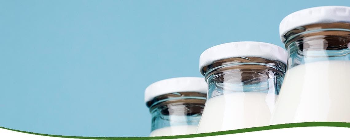 Mitarbeiter Betriebsraum (m/w/d) bei Molkerei Hainichen-Freiberg GmbH & Co. KG