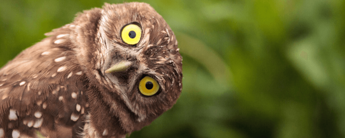 Pflegefachkraft (m/w/d) als Dauernachtwache bei Haus am Stadtwald gGmbH