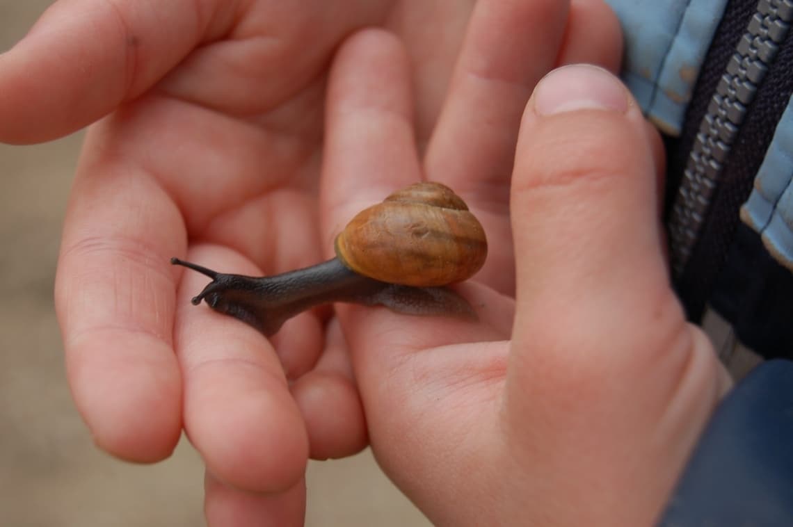 Erzieher / Erzieherin (m/w/d) in Vollzeit oder Teilzeit - Eintrittsprämie 2.000 € bei Live Soziale Chancen e. V.