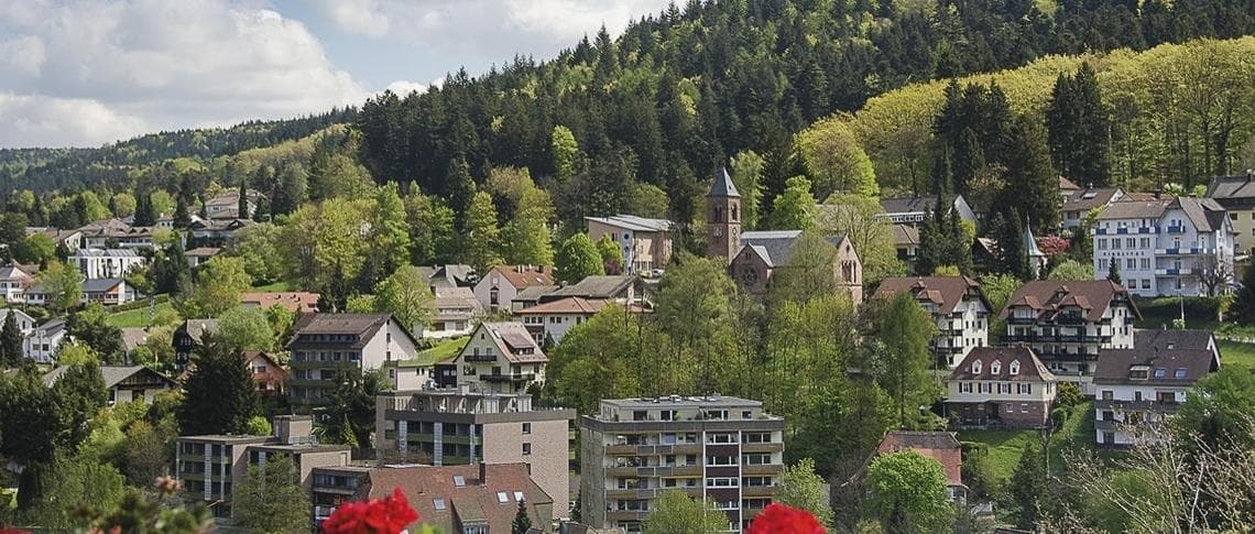 Fachkraft für Garten- und Landschaftspflege (m/w/d) im öffentlichen Dienst bei Stadt Bad Herrenalb