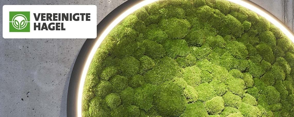 (Senior) Plattformentwickler für Versicherungsanwendungen (m/w/d) bei Vereinigte Hagelversicherung VVaG