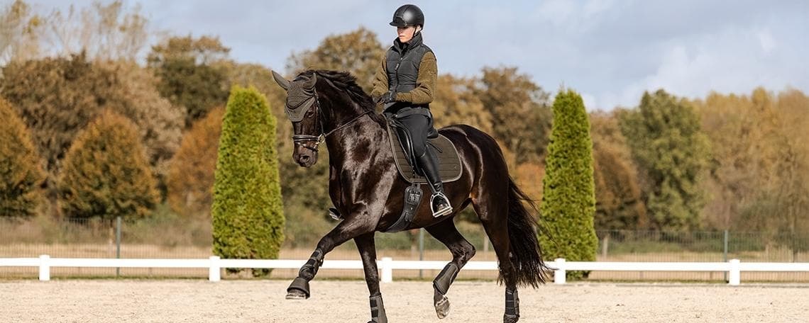 Online Sales Specialist (m/w/d) bei Waldhausen GmbH & Co. KG