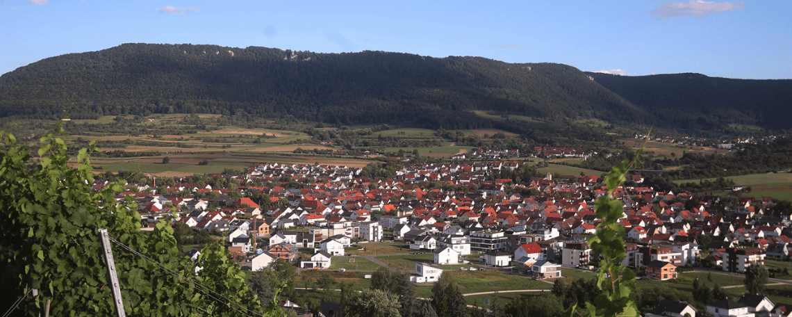 Mediengestalter / Mediengestalterin Digital und Print (w/m/d) bei Stadt Metzingen