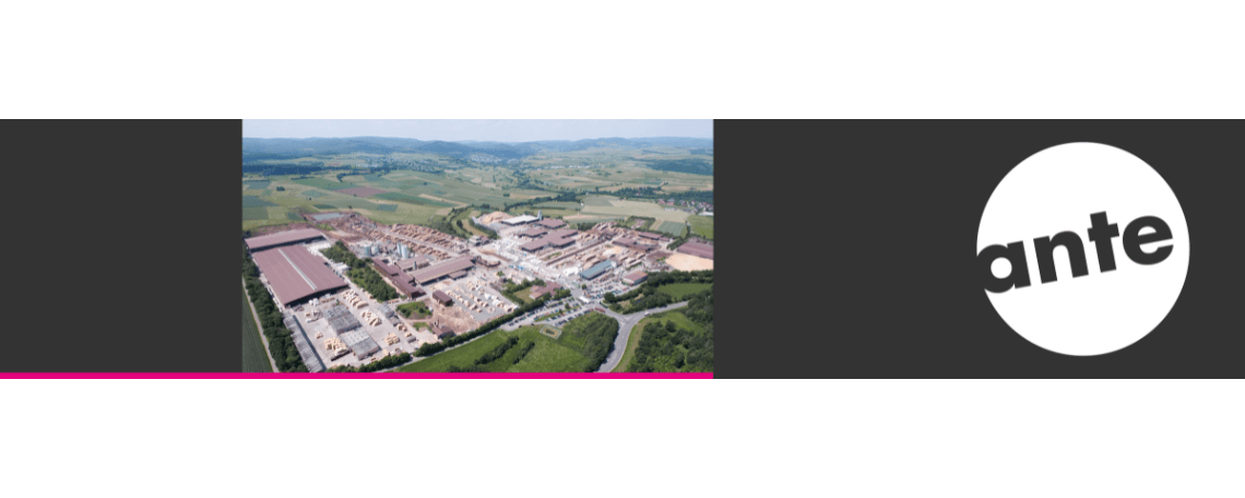 Ausbildung zur Fachkraft für Lagerlogistik (m/w/d) bei ante-holz GmbH