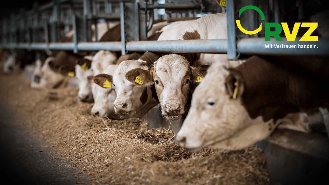 Hausmeister & Hofmeister (m/w/d) bei Raiffeisen Viehzentrale GmbH