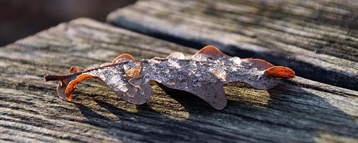 Bestattungsfachkraft (oder Quereinsteiger) / Trauerberater / Bestattungsberater (m/w/d) bei Ackermann-Bauer GmbH & Co. KG