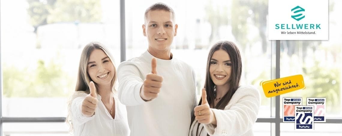 Sales Manager (m/w/d) Schwerpunkt Online Marketing bei Sellwerk GmbH & Co. KG