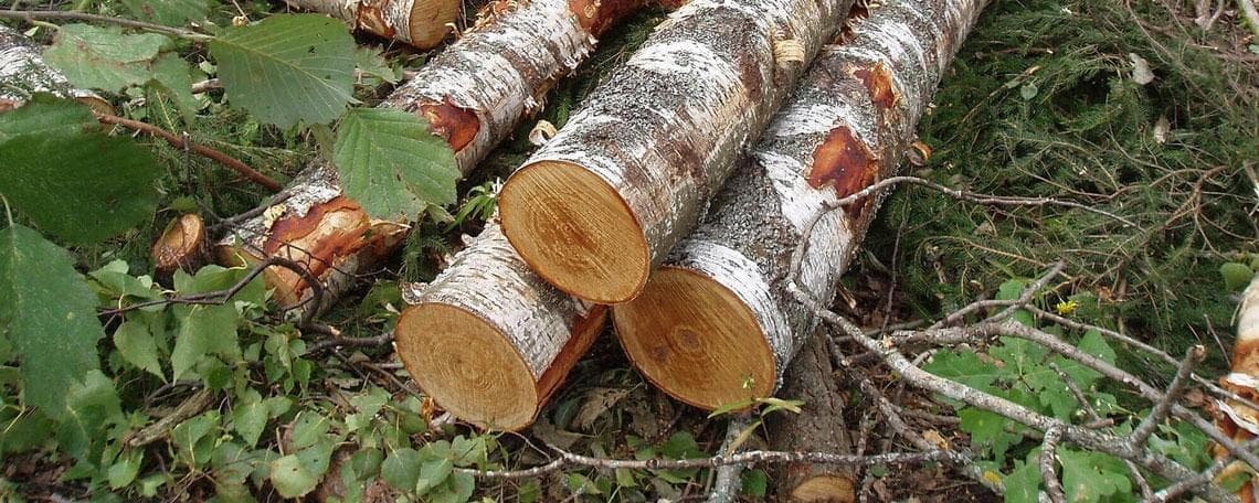 Handwerker / Techniker als Maschinenführer / Anlagenführer (m/w/d) - gerne auch Quereinsteiger bei Josef Winkelheide GmbH