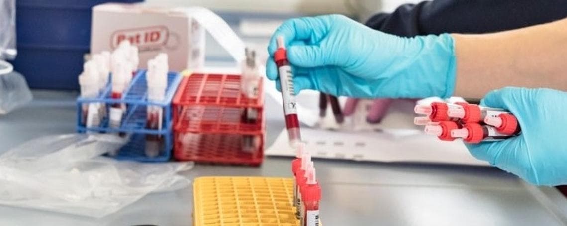 Vertrieb & Business Development Veterinärdiagnostik (m/w/d) bei Vaxxinova Diagnostics GmbH