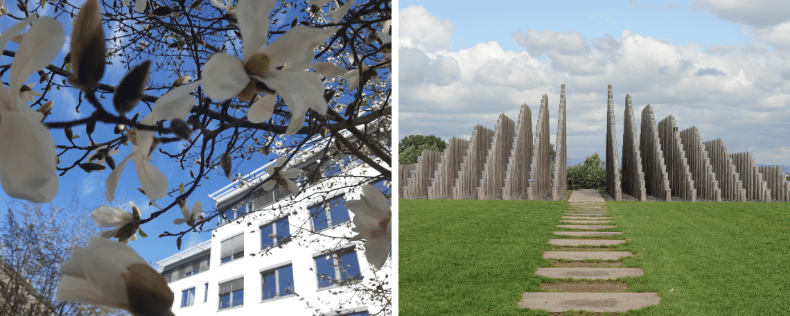 Ordnungskraft (w/m/d) im Umweltbereich (Feldschütz)– in Teilzeit bei Stadt Dreieich