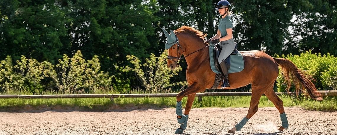 Produktmanager (m/w/d) Reitsportartikel bei Waldhausen GmbH & Co. KG