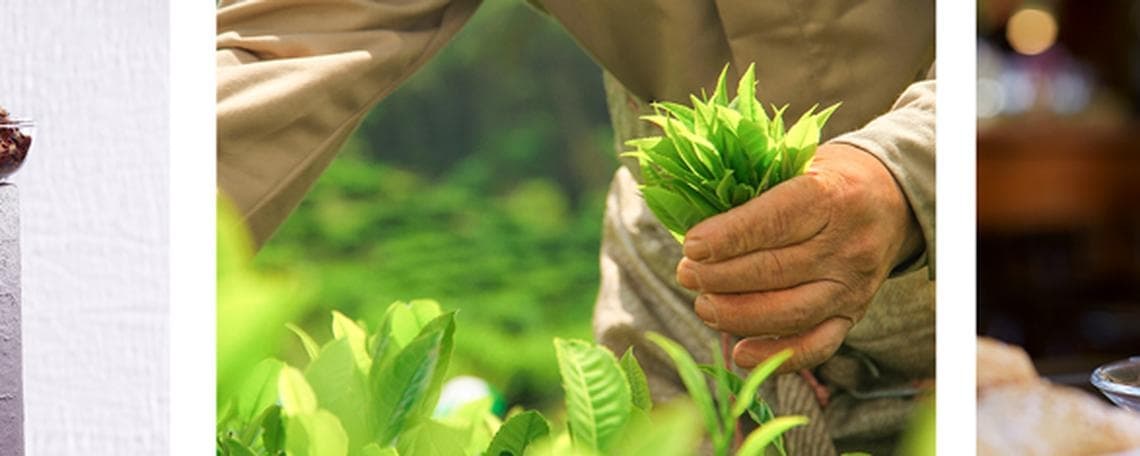 E-Commerce Spezialist (m/w/d) bei J.T. Ronnefeldt KG