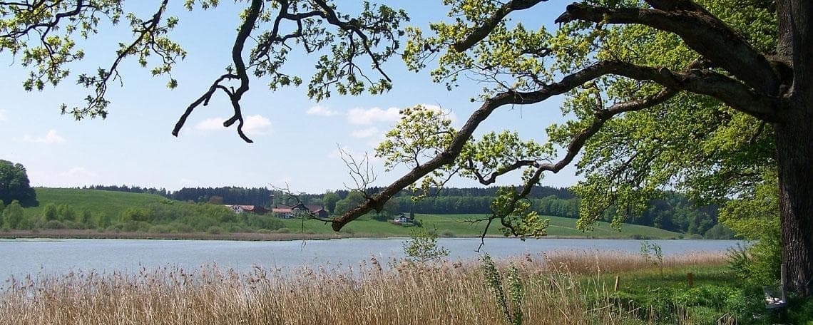 Sachbearbeiter /-in (m/w/d) für den Aufgabenbereich Baugenehmigungen bei Landratsamt Ebersberg