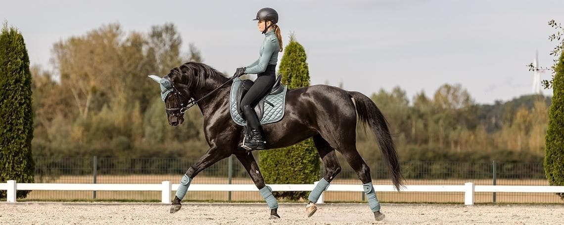 Teamleiter Lager (m/w/d) bei Waldhausen GmbH & Co. KG