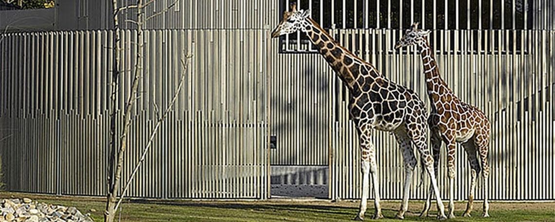 Teamassistenz (m/w/d) Sekretariat Standort Berlin bei heinlewischer