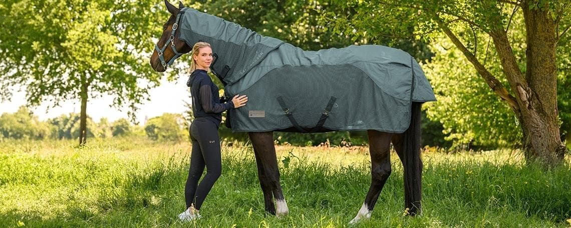 Produktmanager (m/w/d) Reitsportartikel bei Waldhausen GmbH & Co. KG