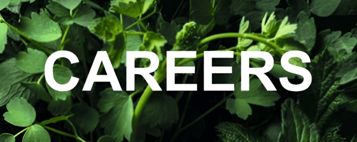 Industrieelektriker / Industrieelektrikerin (m/w/d) bei Clariant Produkte (Deutschland) GmbH