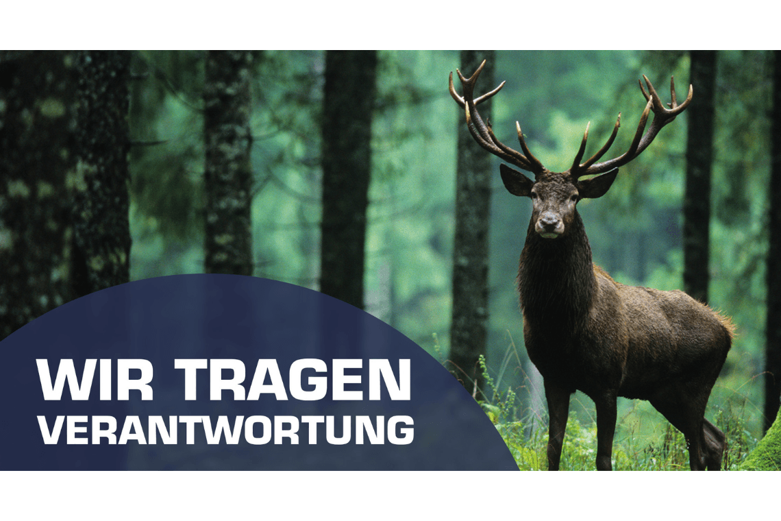 Leiter Finanzen & Controlling (m/w/d) bei ERNST Umformtechnik GmbH