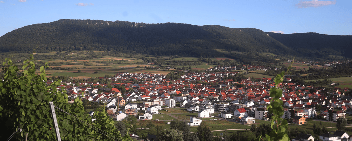 Leitung der Geschäftsstelle des gemeinsamen Gutachterausschusses (w/m/d) bei Stadt Metzingen