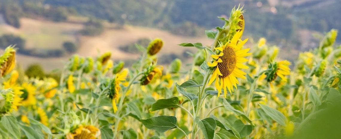 Sachbearbeitung Personal (m/w/d) bei Marktgesellschaft der Naturland Bauern AG