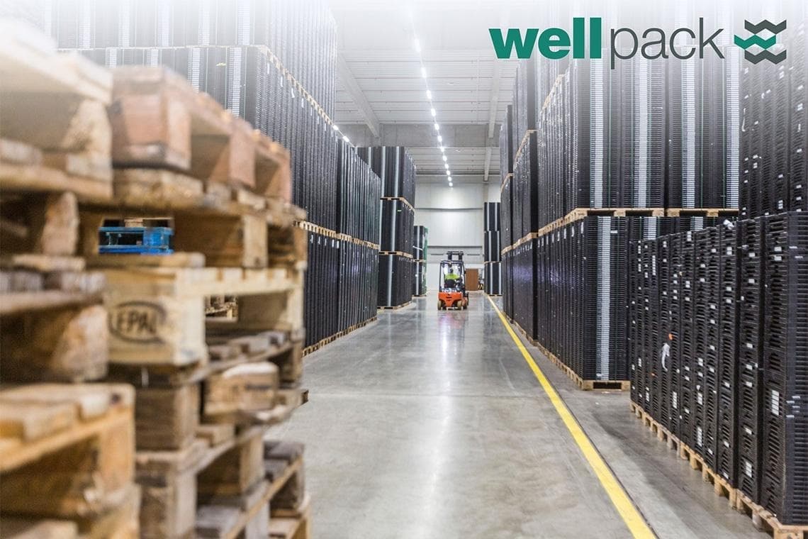 Mechaniker / Mechatroniker - Instandhaltung (m/w/d) bei WELL PACK DE GmbH