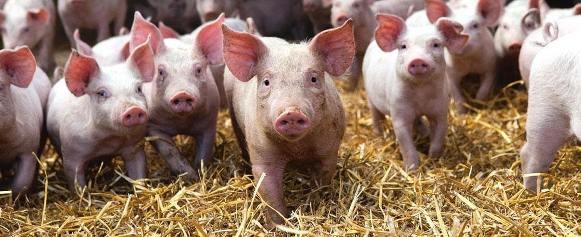Sachbearbeitung Personal (m/w/d) bei Marktgesellschaft der Naturland Bauern AG