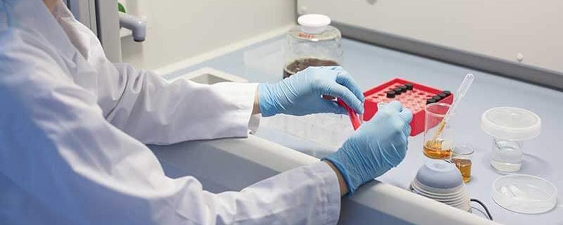 Projekt- und Ressourcenkoordinator/in (m/w/d) Zentrale Schnittstelle für Studienplanung, Kapazitätssteuerung und Probenmanagement bei BioChem agrar GmbH